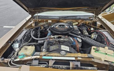 Chrysler-1977-brown-13