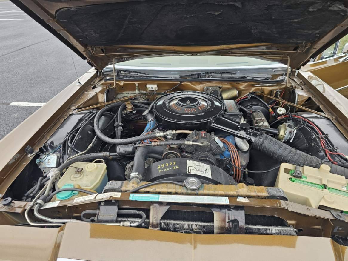 Chrysler-1977-brown-13