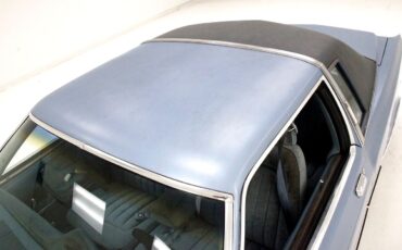 Chrysler-LeBaron-1979-Hardtop-19