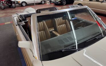 Chrysler-LeBaron-1984-Convertible-16
