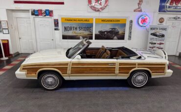 Chrysler-LeBaron-1984-Convertible-26