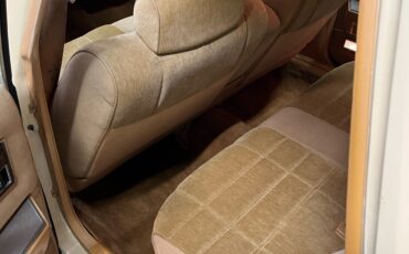 Chrysler-Town-Country-1985-10