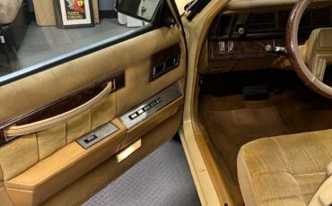 Chrysler-Town-Country-1985-14