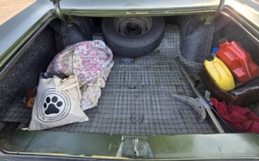 Chrysler-newport-1969-green-8