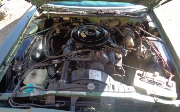 Chrysler-newport-custom-1976-green-11