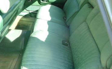 Chrysler-newport-custom-1976-green-13