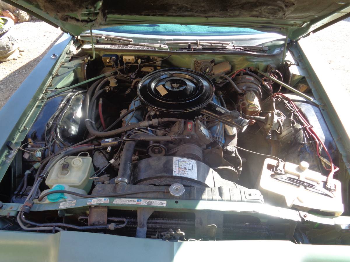 Chrysler-newport-custom-1976-green-14