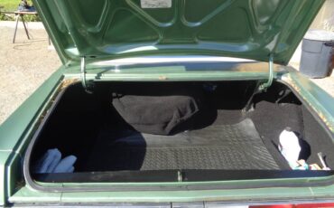 Chrysler-newport-custom-1976-green-3