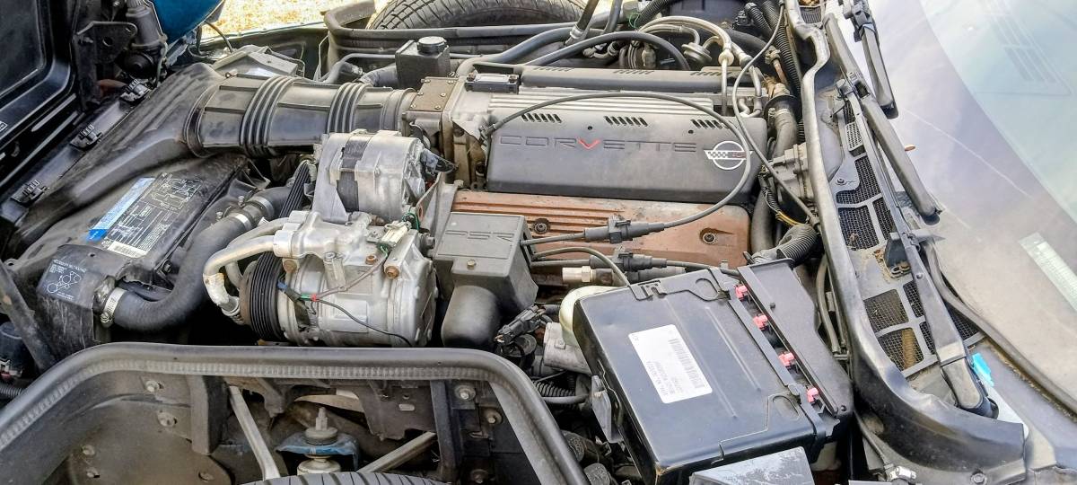 Corvette-1992-blue-3