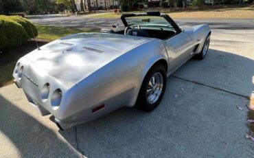 Corvette-stingray-convertible-1975-silver-2