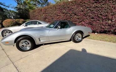 Corvette-stingray-convertible-1975-silver-3