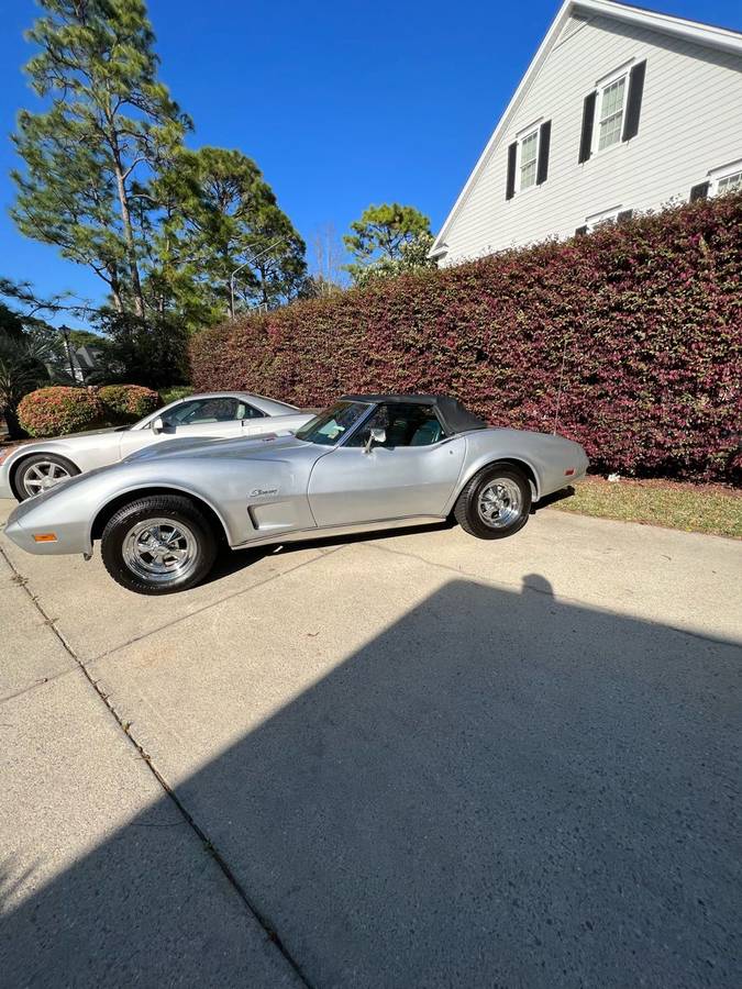 Corvette-stingray-convertible-1975-silver-3