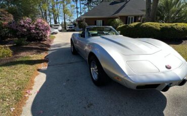 Corvette-stingray-convertible-1975-silver-6