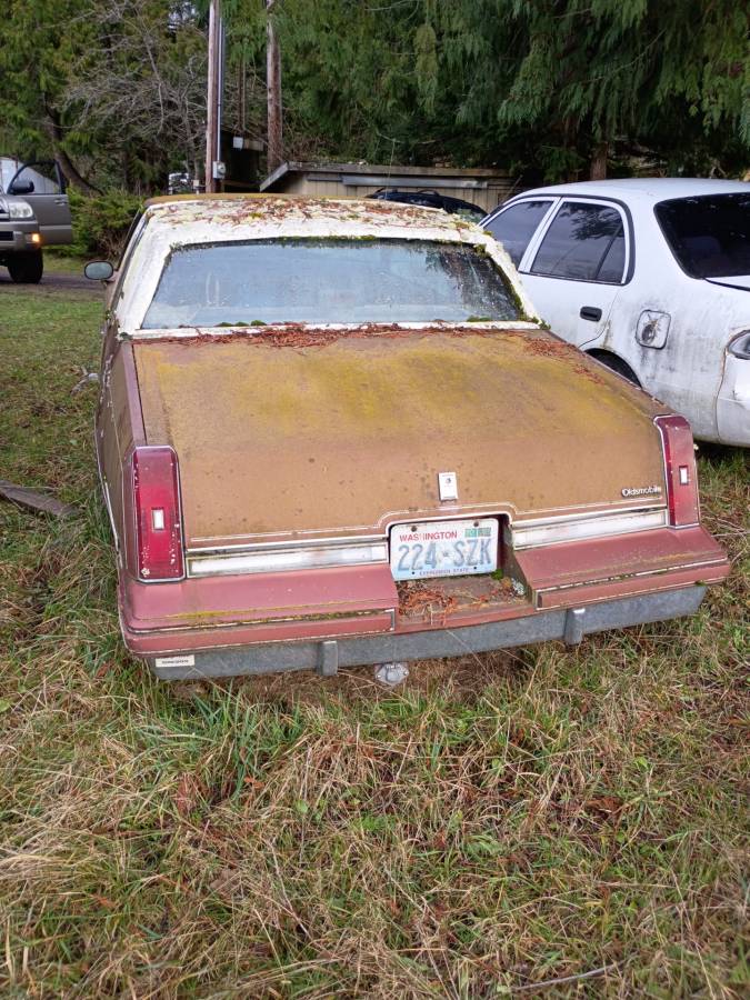 Cutlass-coupe-1986-brown-2