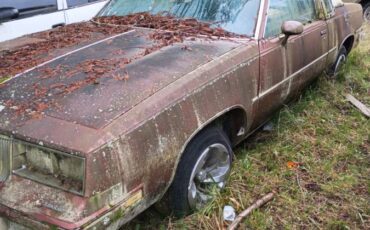 Cutlass-coupe-1986-brown