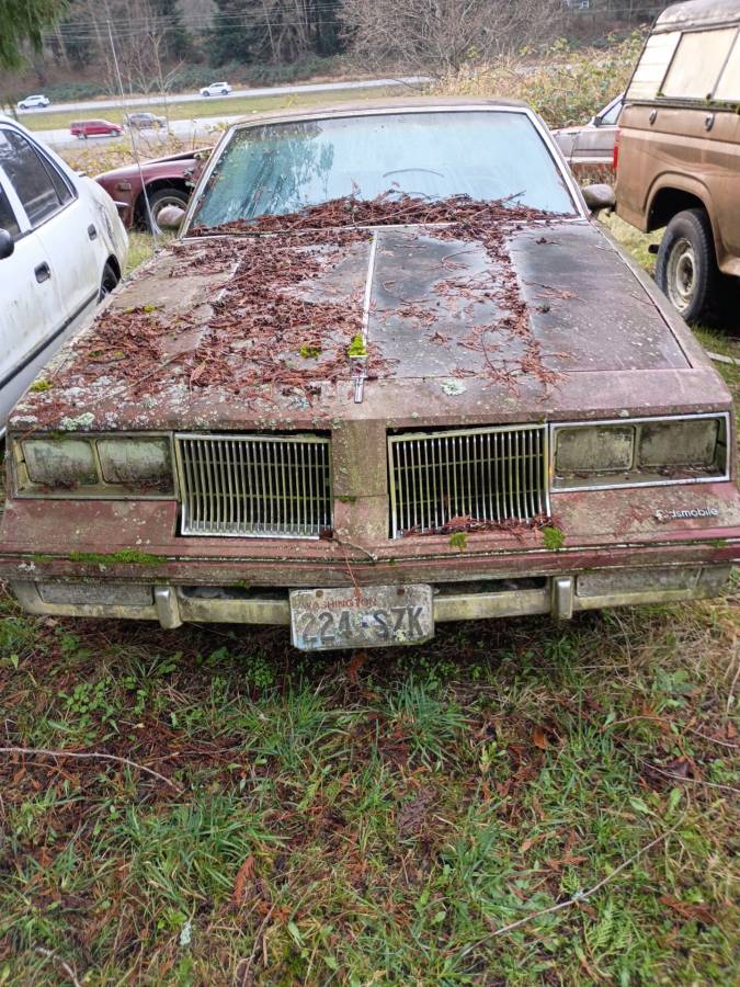 Cutlass-coupe-1986-brown-4