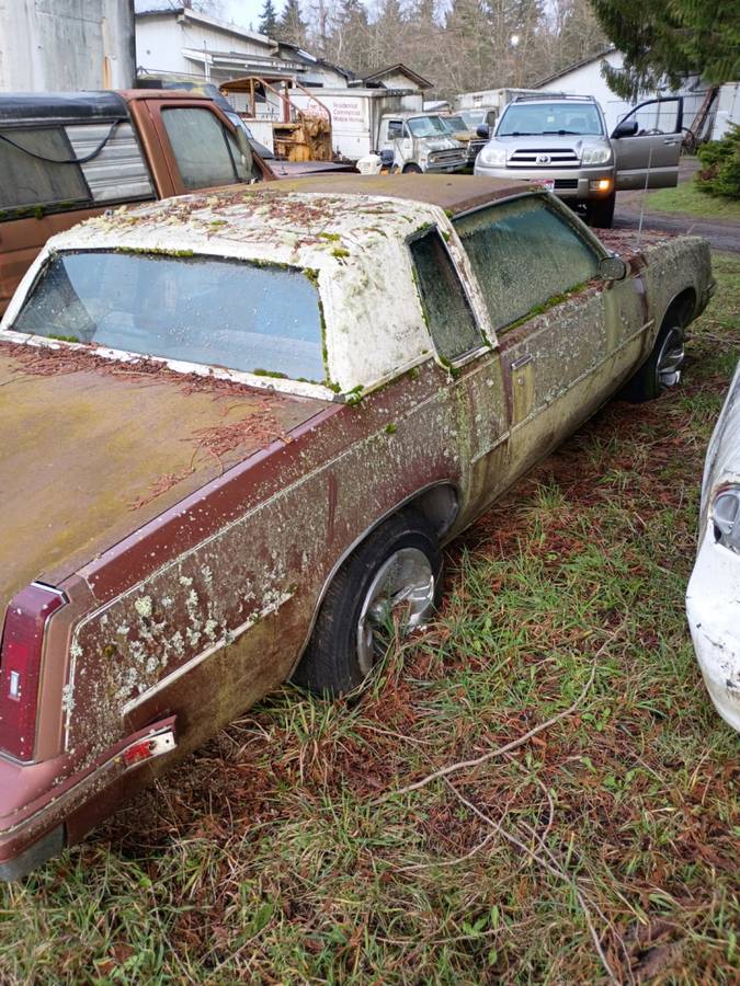 Cutlass-oldsmobile-coup-1986-brown-2