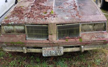 Cutlass-oldsmobile-coup-1986-brown