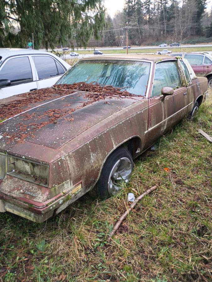 Cutlass-oldsmobile-coup-1986-brown-4