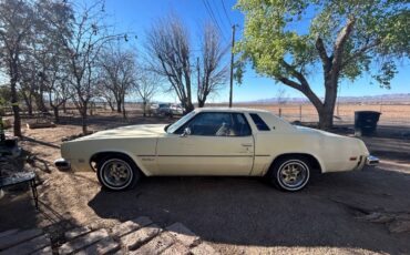 Cutlass-supreme-oldsmobile-1976-yellow-1
