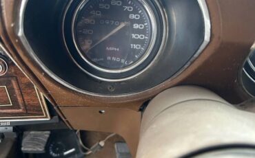 Cutlass-supreme-oldsmobile-1976-yellow-10