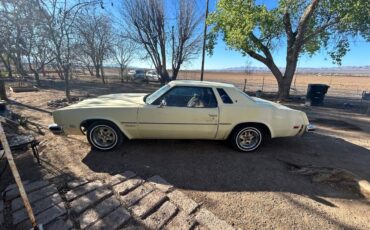 Cutlass-supreme-oldsmobile-1976-yellow-16