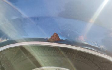 Datsun-280zx-1981-blue-24