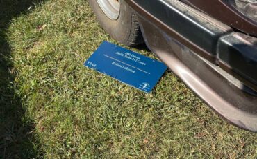 Datsun-280zx-1982-10