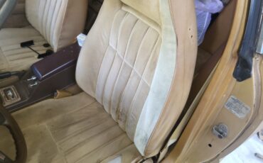 Datsun-Z-Series-1980-Coupe-22