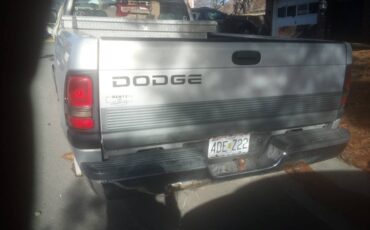 Dodge-1988-silver-8