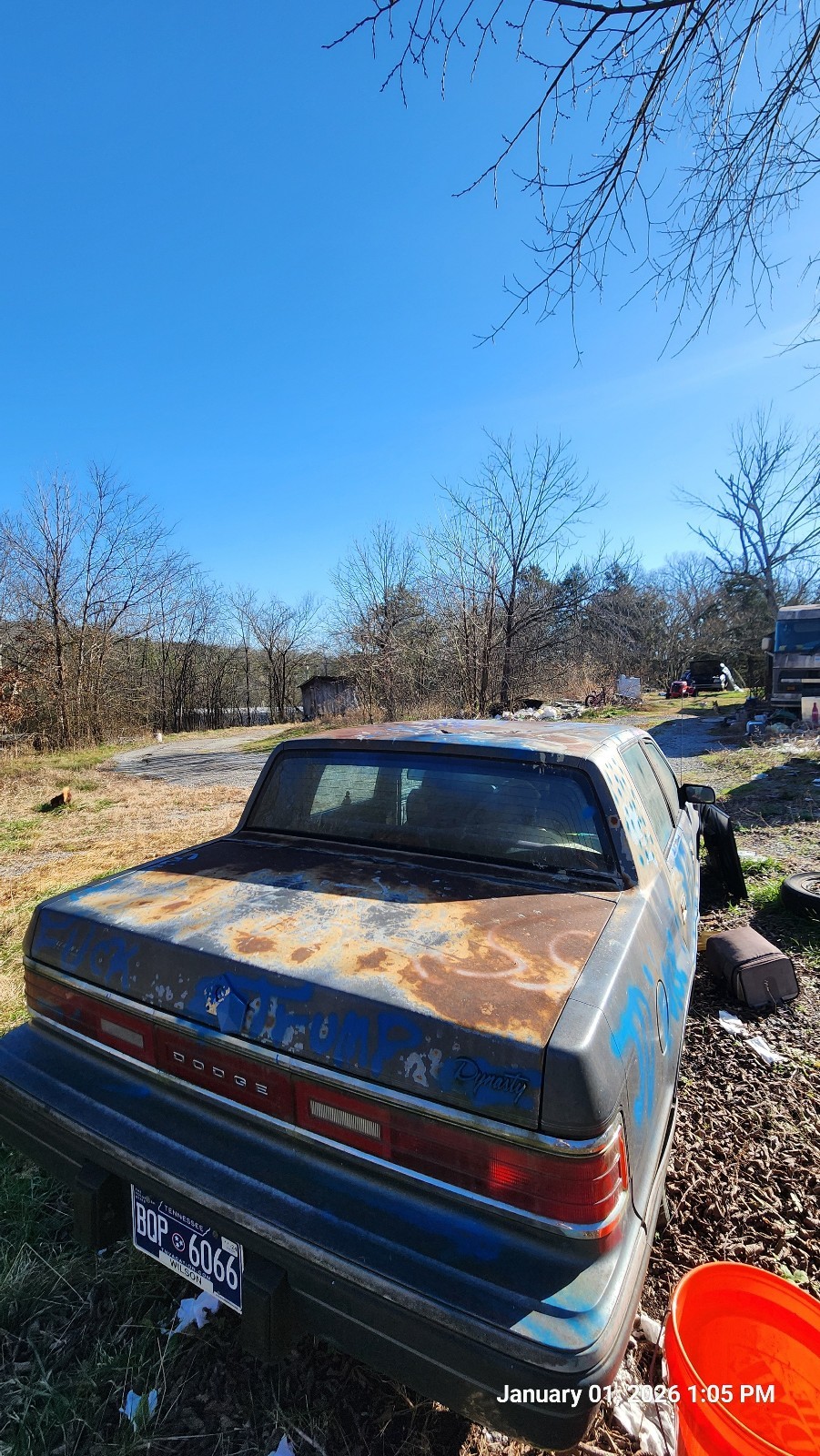 Dodge-1st-Series-1990-3