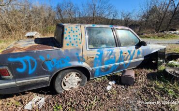 Dodge-1st-Series-1990-4