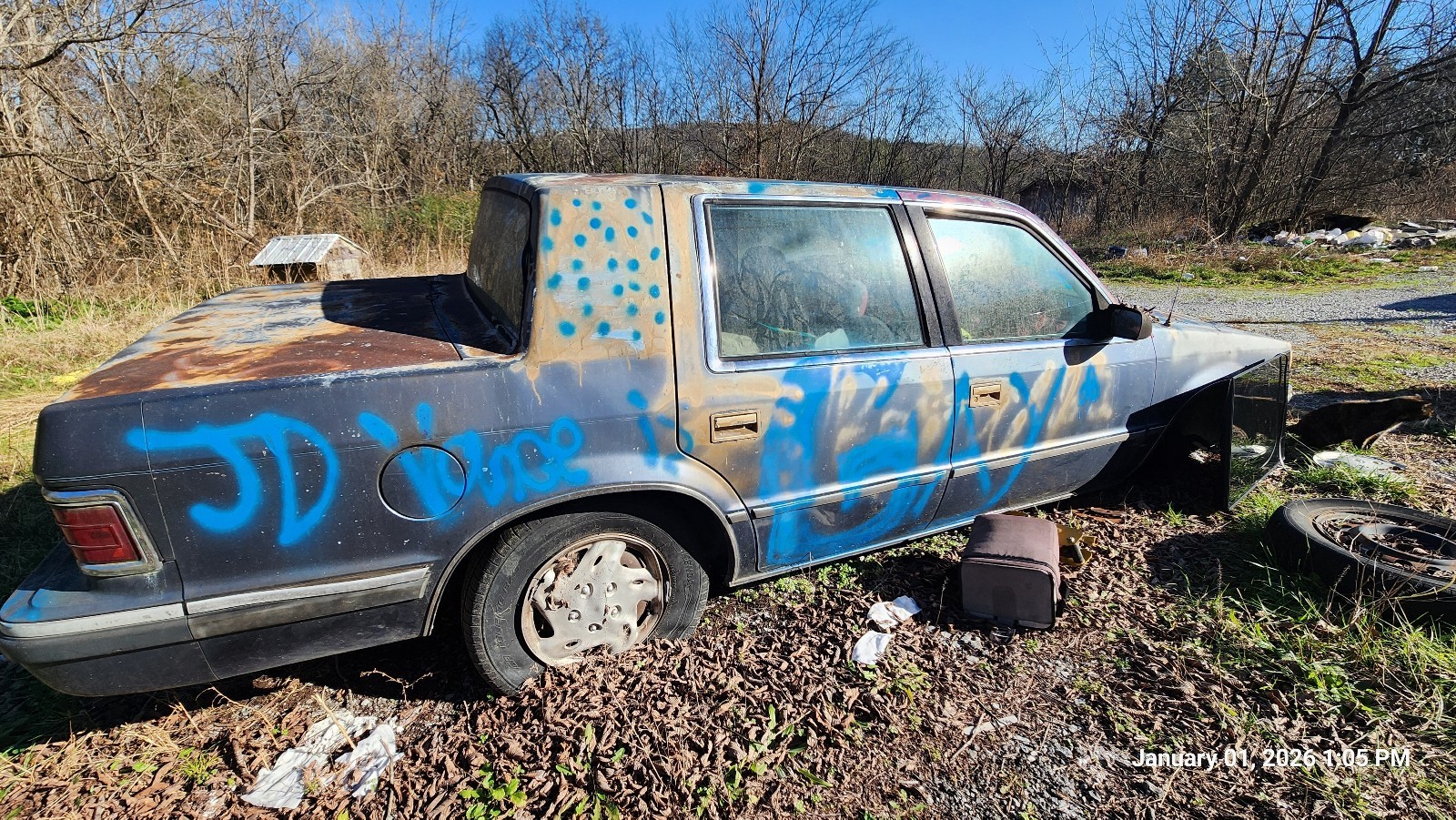 Dodge-1st-Series-1990-4
