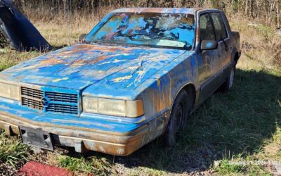 Dodge 1st Series 1990