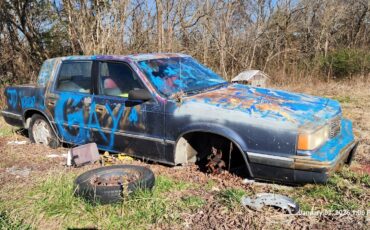 Dodge-1st-Series-1990-5