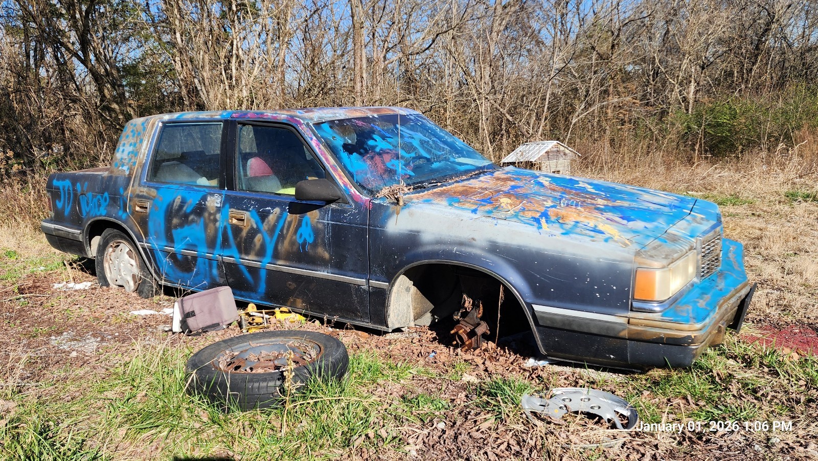 Dodge-1st-Series-1990-5