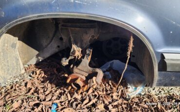 Dodge-1st-Series-1990-6