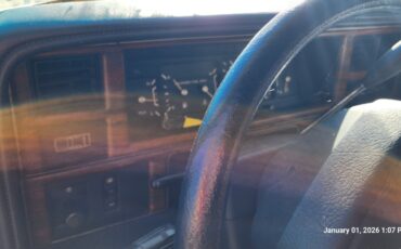 Dodge-1st-Series-1990-8