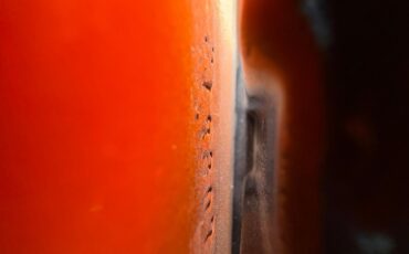 Dodge-Charger-1970-23