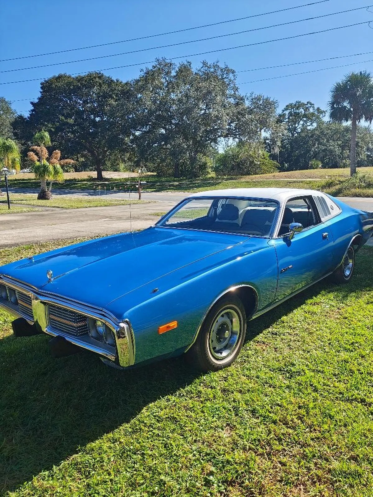 Dodge-Charger-1974-B5-Blue-Blue-1