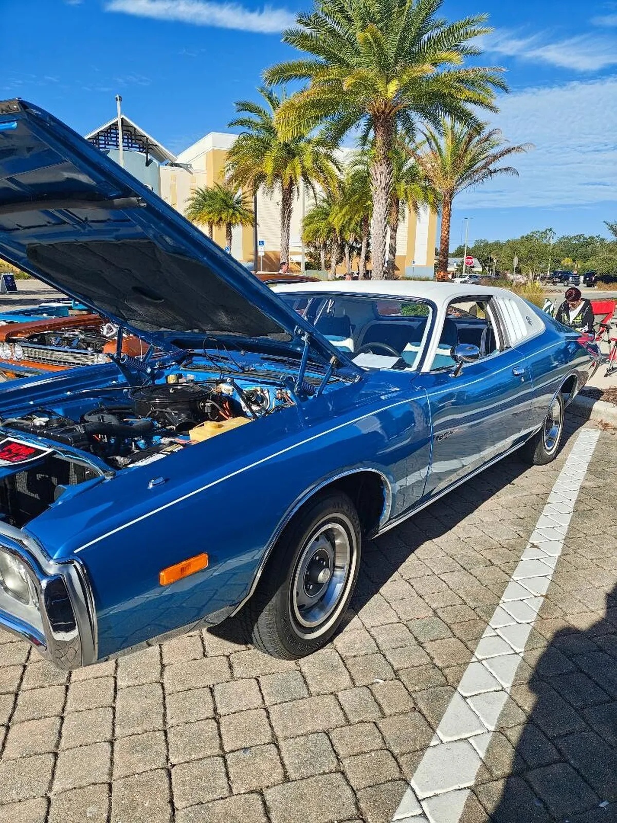 Dodge-Charger-1974-B5-Blue-Blue-8