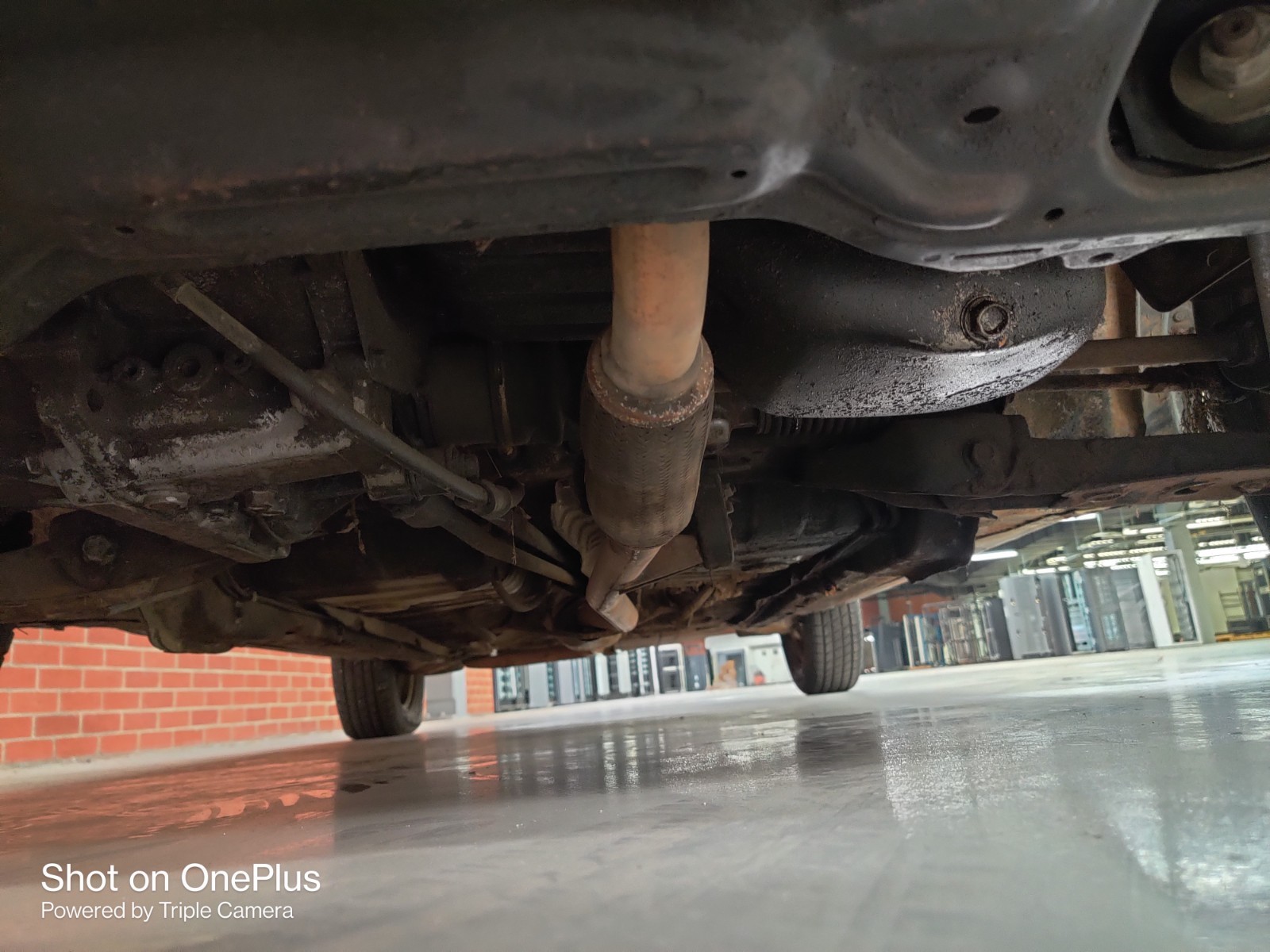 Dodge-Colt-1984-Hatchback-7