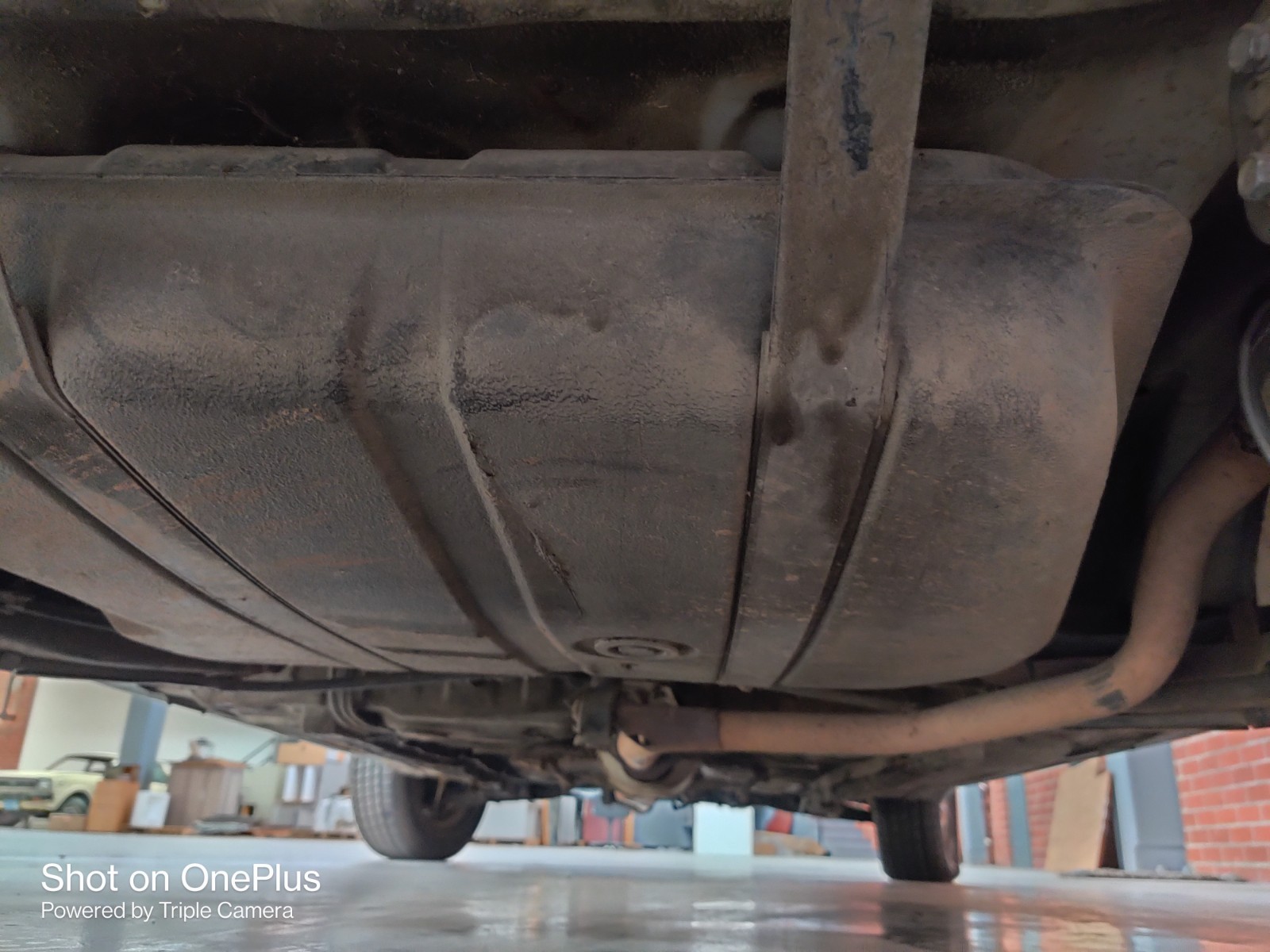 Dodge-Colt-1984-Hatchback-8