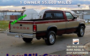Dodge-Dakota-1993-Standard-Cab-Pickup-10