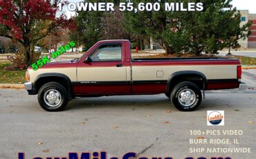 Dodge-Dakota-1993-Standard-Cab-Pickup-12