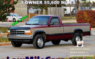 Dodge-Dakota-1993-Standard-Cab-Pickup-2