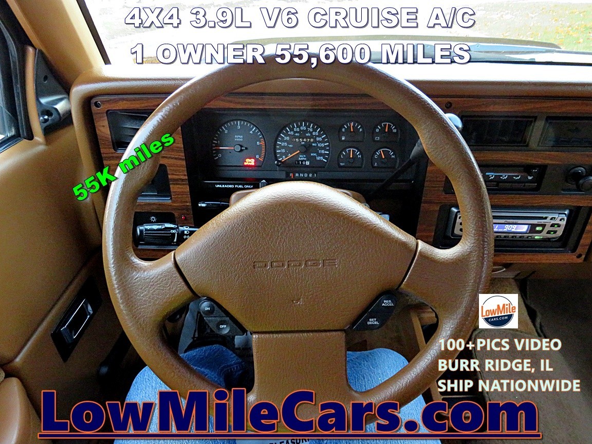 Dodge-Dakota-1993-Standard-Cab-Pickup-25