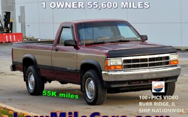 Dodge-Dakota-1993-Standard-Cab-Pickup-7