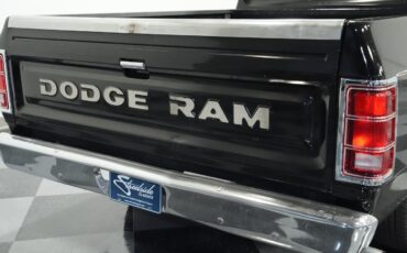 Dodge-Other-Pickups-1983-Pickup-Truck-23