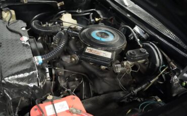 Dodge-Other-Pickups-1983-Pickup-Truck-29